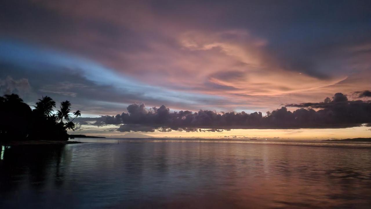 Terimakasih Homestay Pulau Mansuar Экстерьер фото